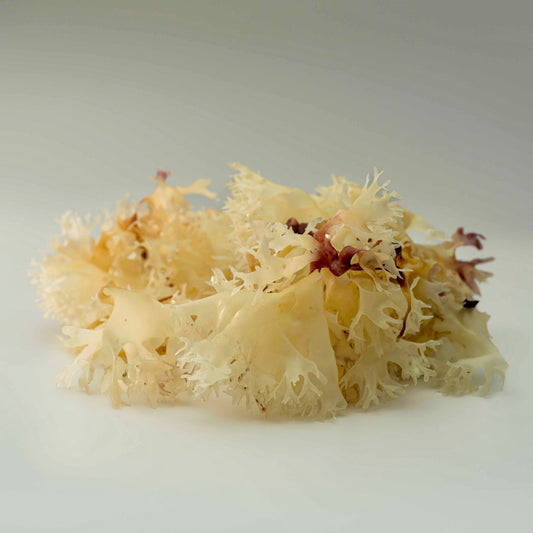 Natural Irish Sea Moss Dried (Chondrus Crispus)