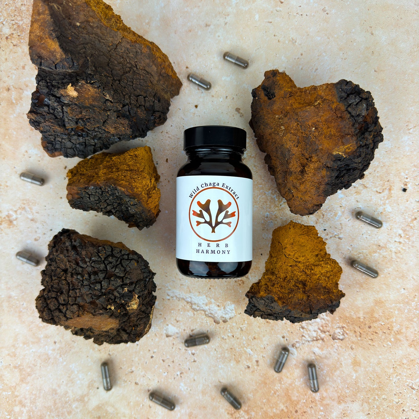 Chaga Mushroom Extract