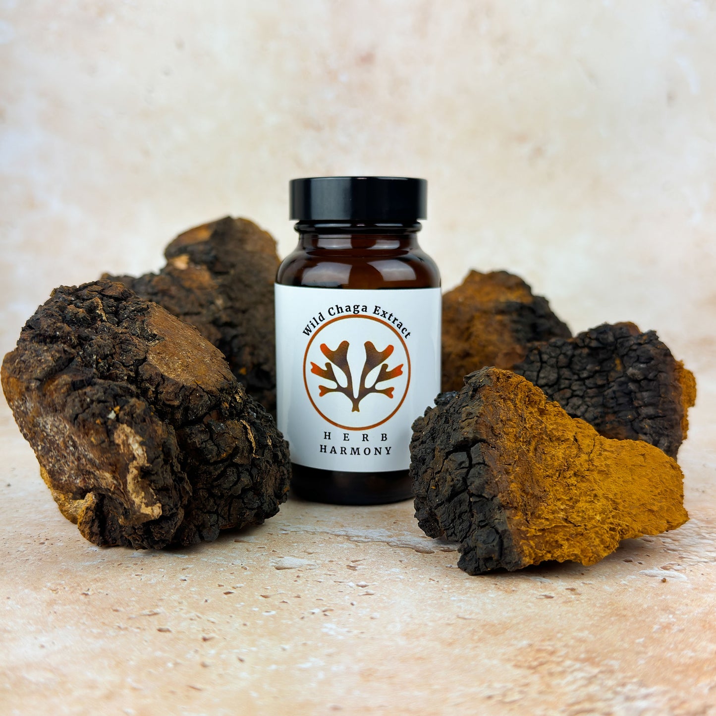 Chaga Mushroom Extract