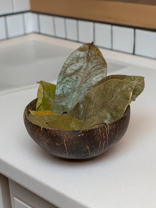 Soursop leaves