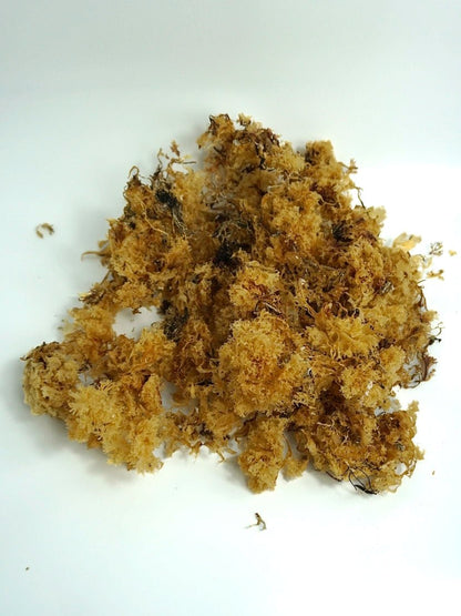 Natural Irish Sea Moss Dried (Chondrus Crispus)