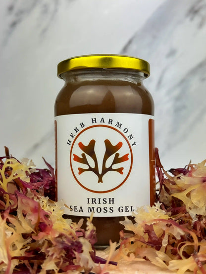 Irish Sea Moss Gel | Full Spectrum (Chondrus Crispus)