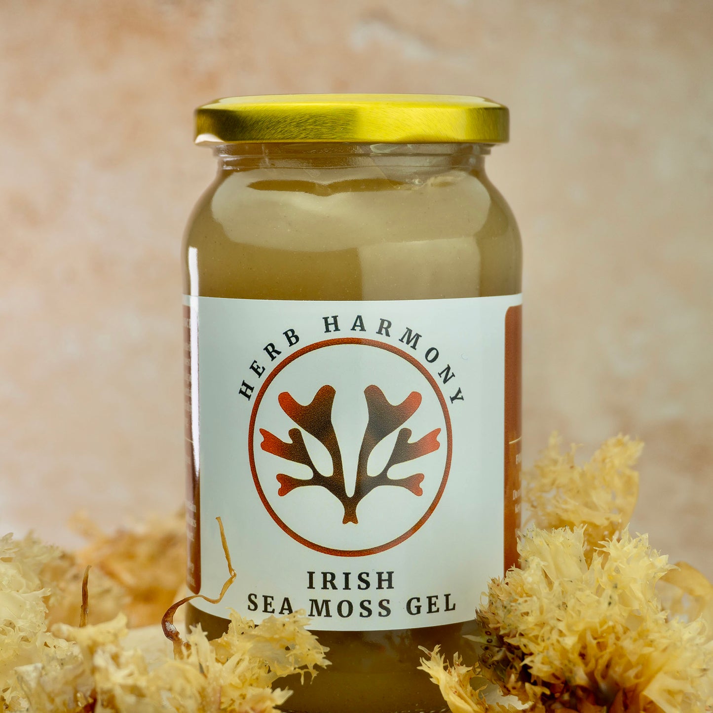 Irish Sea Moss