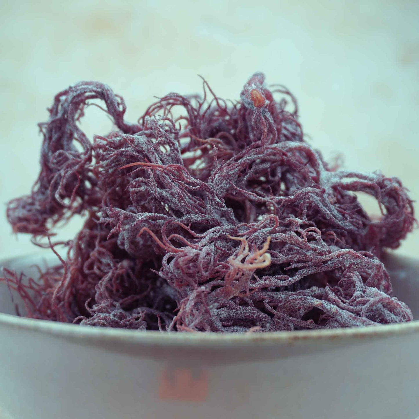 Natural Purple Caribbean Sea Moss Dried - Herb Harmony