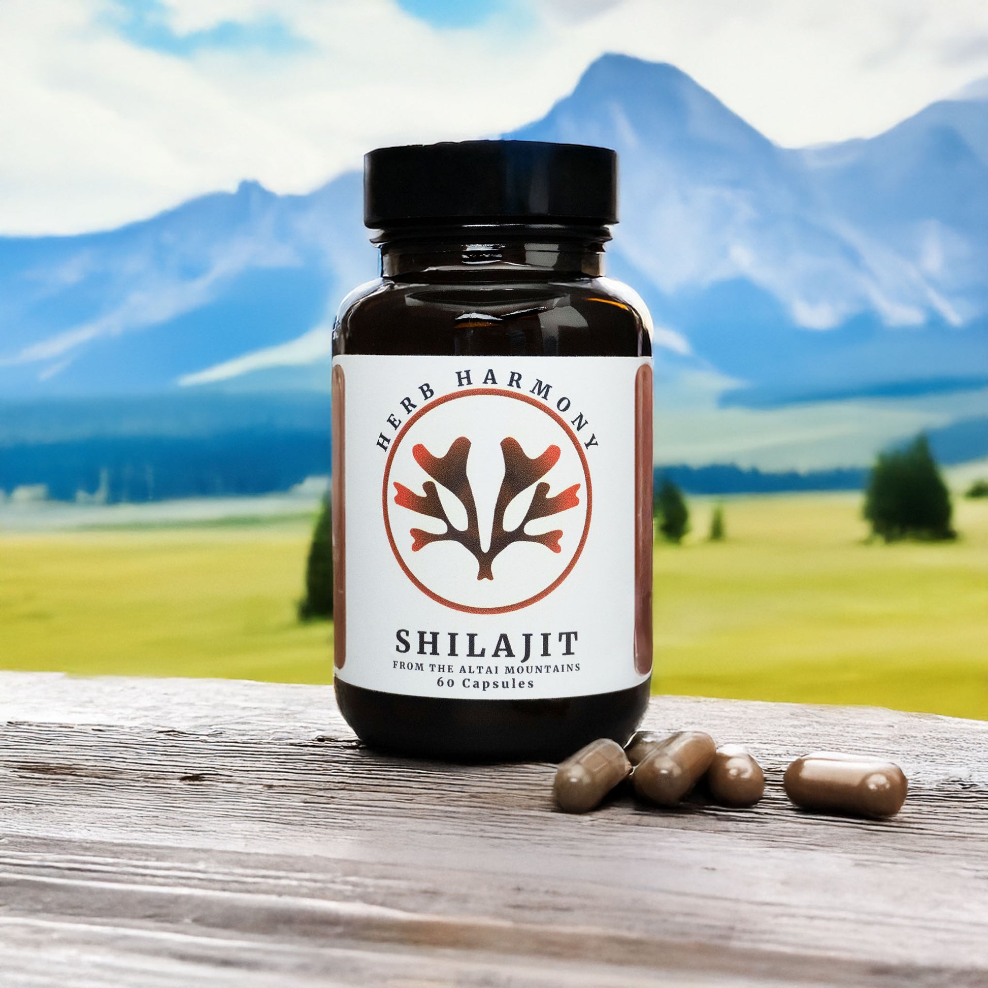 Shilajit capsules