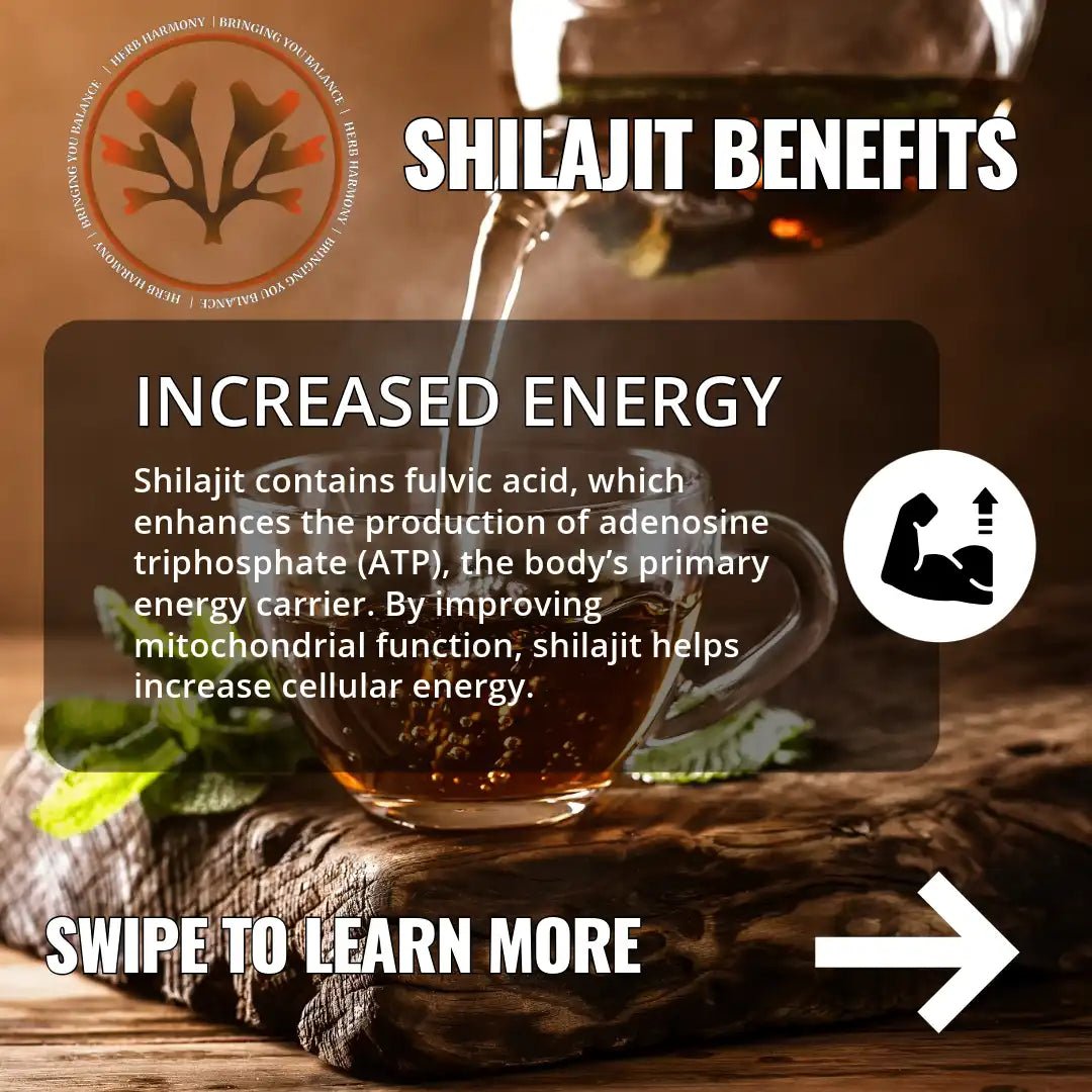 SHILAJIT - Purified Shilajit Resin