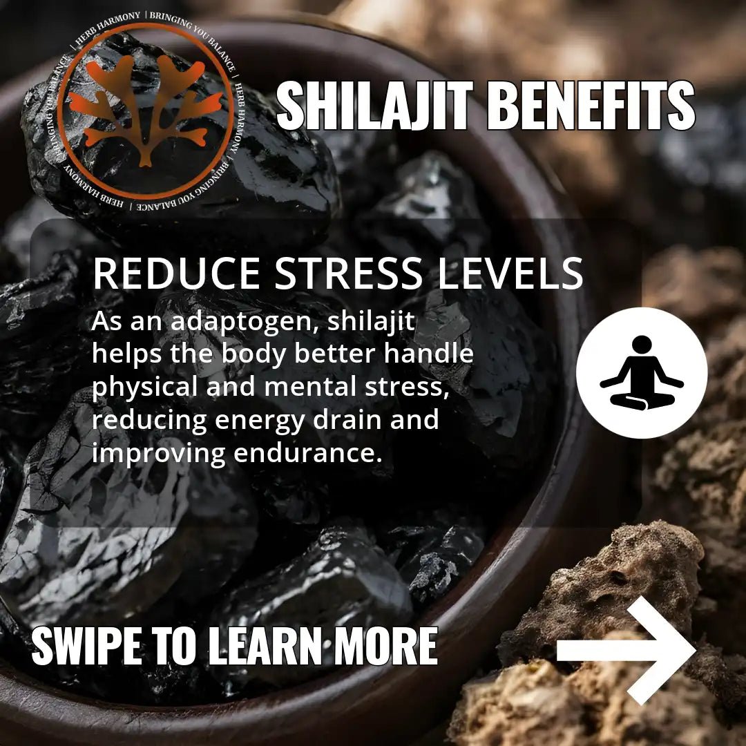 SHILAJIT - Purified Shilajit Resin