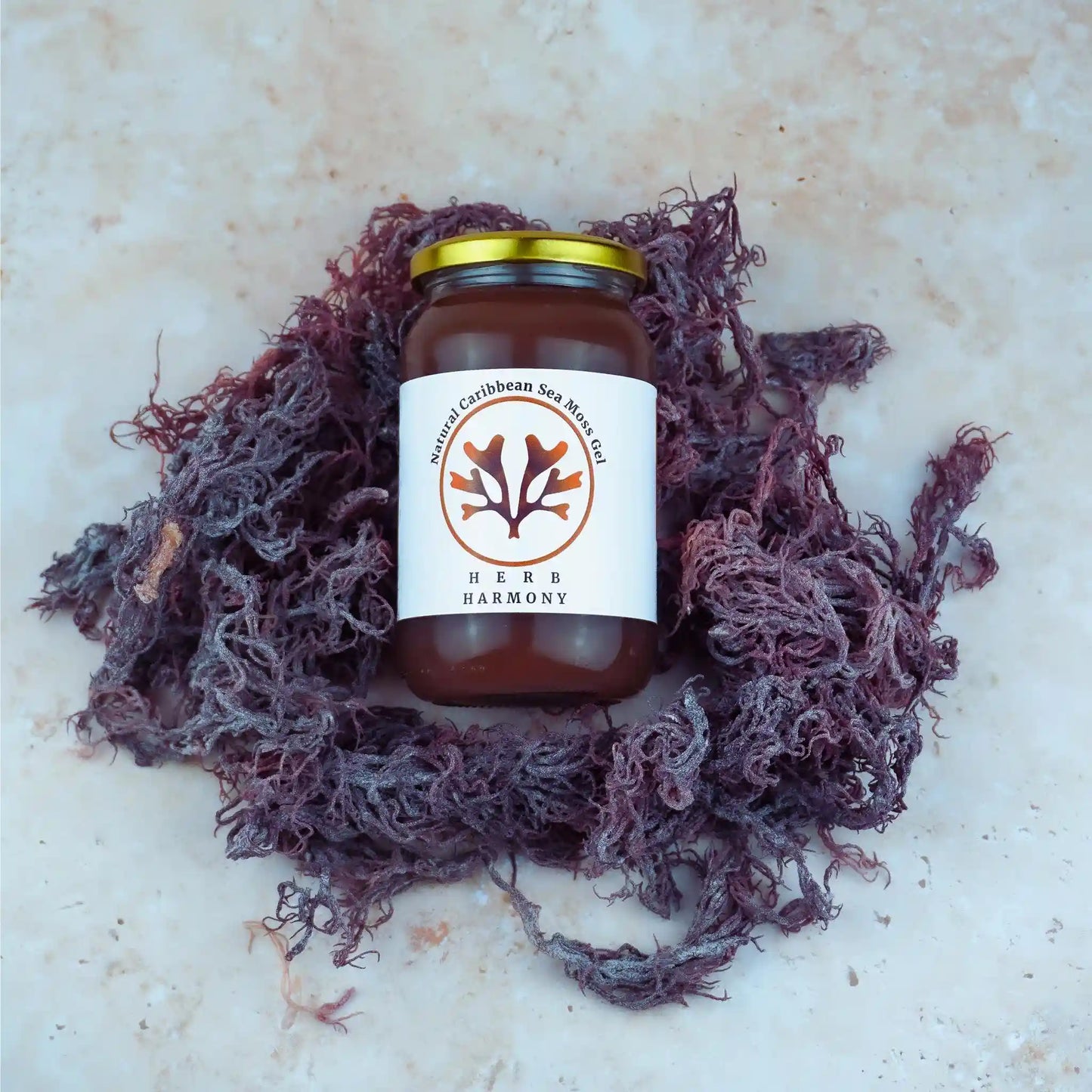 Purple Sea Moss Gel